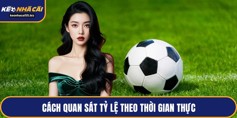 Cách quan sát tỷ lệ theo thời gian thực