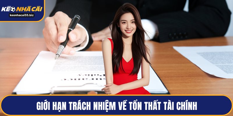 Giới hạn trách nhiệm về tổn thất tài chính