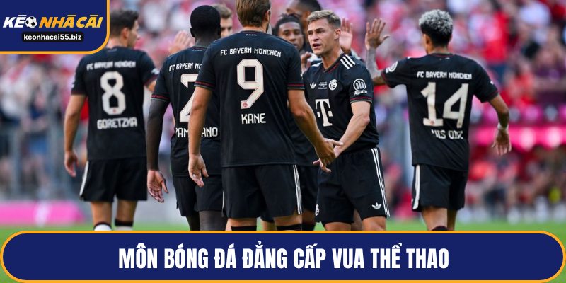 Môn bóng đá đẳng cấp vua thể thao