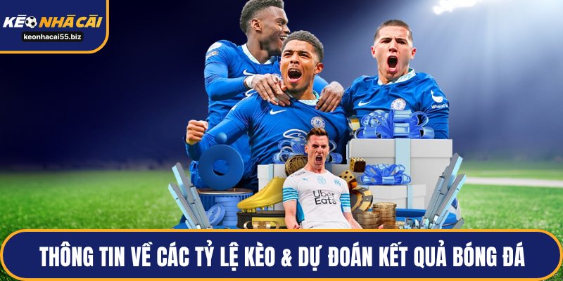 Thông tin về các tỷ lệ kèo và dự đoán kết quả bóng đá