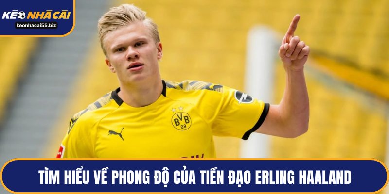 Tìm hiểu về phong độ của tiền đạo Erling Haaland
