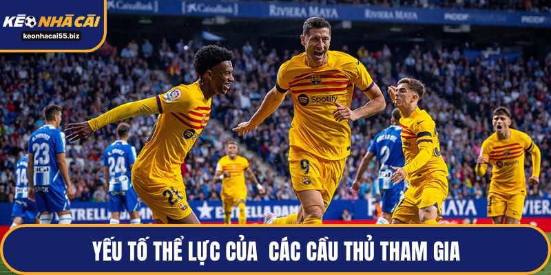 Yếu tố thể lực của các cầu thủ tham gia